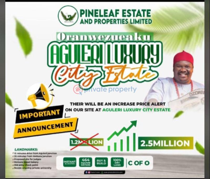 Mixed use Land For Sale Aguleri Beside Old Army Checkpoint And Proposed Private University Anambra East  - 0