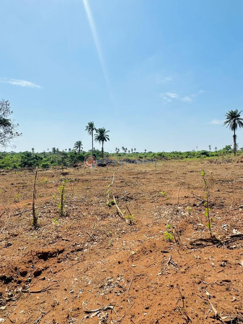 Affordable land in a nice neighborhood - 4 Residential Land For Sale Agbowa Ikorodu Lagos - 4