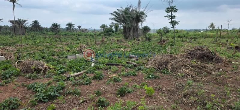 Residential Land For Sale Ikorodu Gardens , Imota Ikorodu Ikorodu Lagos - 3