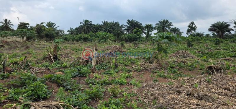 Residential Land For Sale Ikorodu Gardens , Imota Ikorodu Ikorodu Lagos - 4
