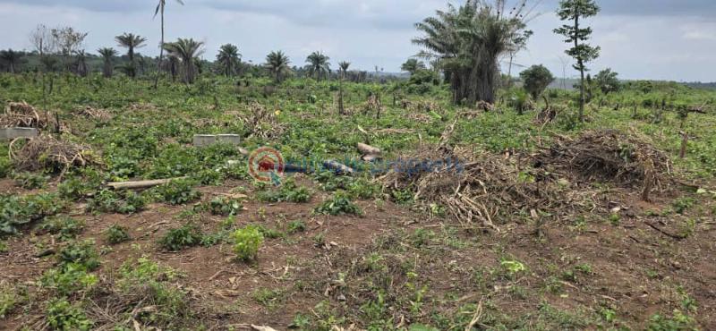 Residential Land For Sale Ikorodu Gardens , Imota Ikorodu Ikorodu Lagos - 2