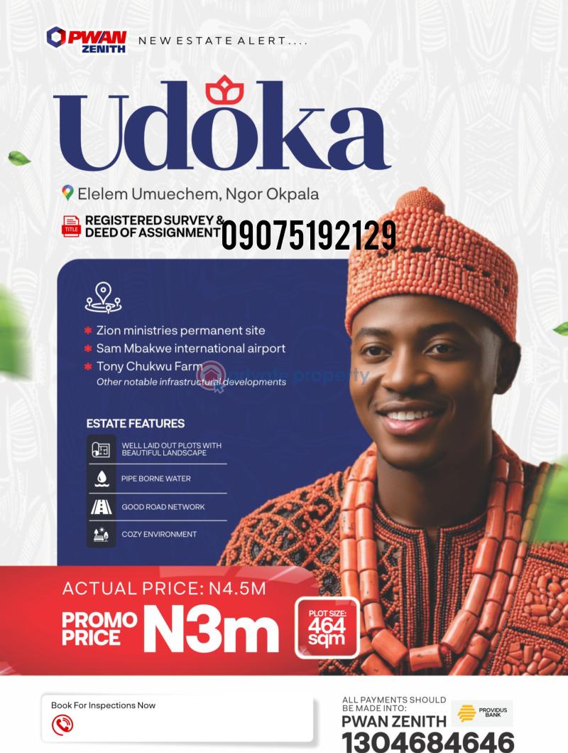 Land For Sale Zion Ministry Permanent Site Ngor Okpala Ngor-Okpala Imo