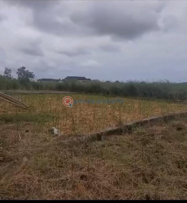Residential Land For Sale Behind Sangotedo Market Sangotedo Ajah Lagos - 1