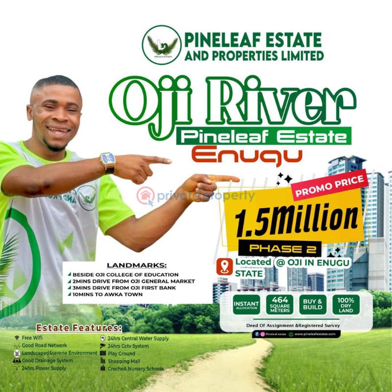 Land For Sale Pineleaf Estae Oji-River Enugu