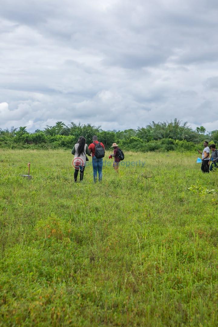Residential Land For Sale Kambili City Ll, Ibefun Village Off Ijebu Ode/ikorodu Road Ikorodu Lagos - 1