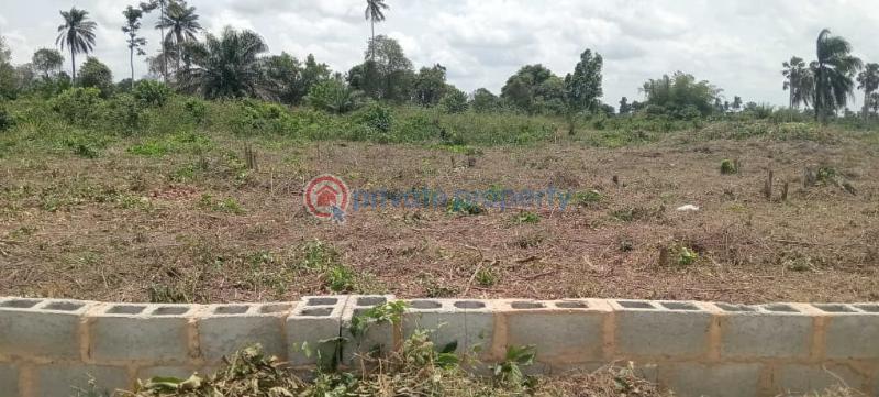 Residential Land For Sale Elegant City, Ibefun Ogun area  - 4