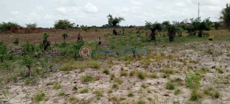 Residential Land Short let Sun City Phase1 Located At Ode Omi Via La Champagne Tropicana Ibeju-Lekki Lagos - 0
