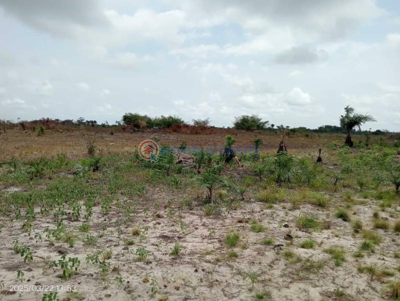 Residential Land Short let Sun City Phase1 Located At Ode Omi Via La Champagne Tropicana Ibeju-Lekki Lagos - 5