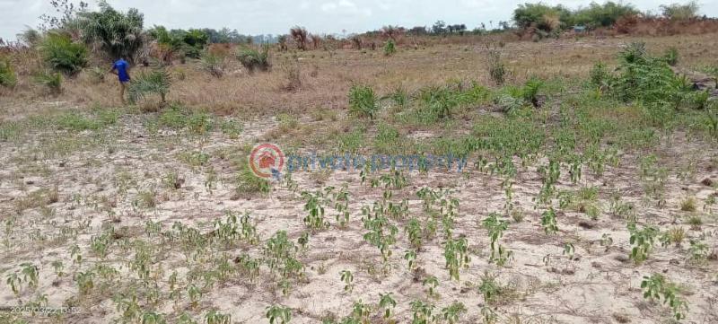 Residential Land Short let Sun City Phase1 Located At Ode Omi Via La Champagne Tropicana Ibeju-Lekki Lagos - 4