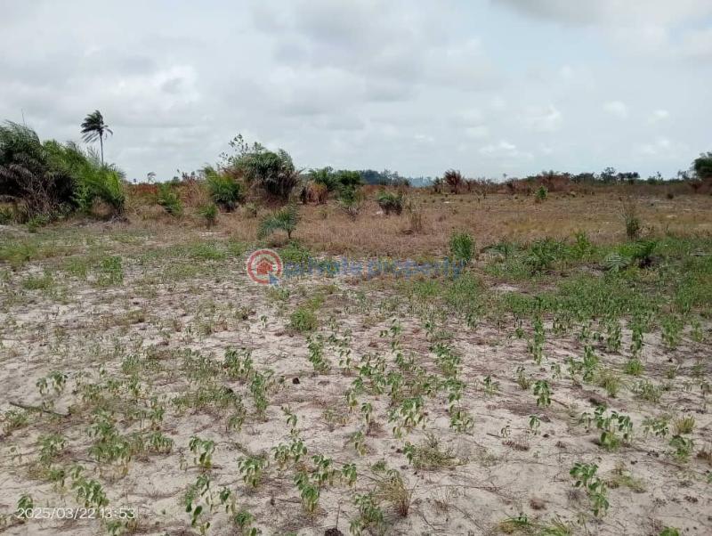Residential Land Short let Sun City Phase1 Located At Ode Omi Via La Champagne Tropicana Ibeju-Lekki Lagos - 3