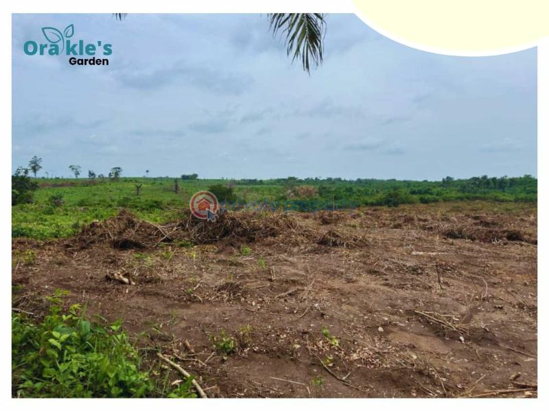 Mixed use Land For Sale Orakle's Garden Estate, Isiwo Epe Epe Lagos