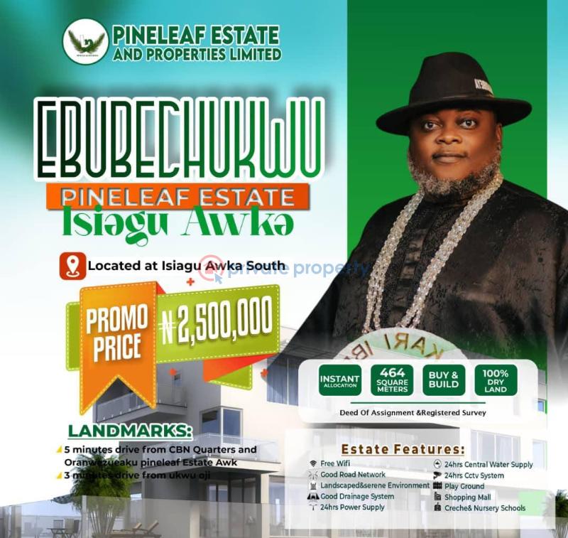 Land For Sale Eberechuku Pineapple Leaf Isi Agu Akwa Awka North Anambra