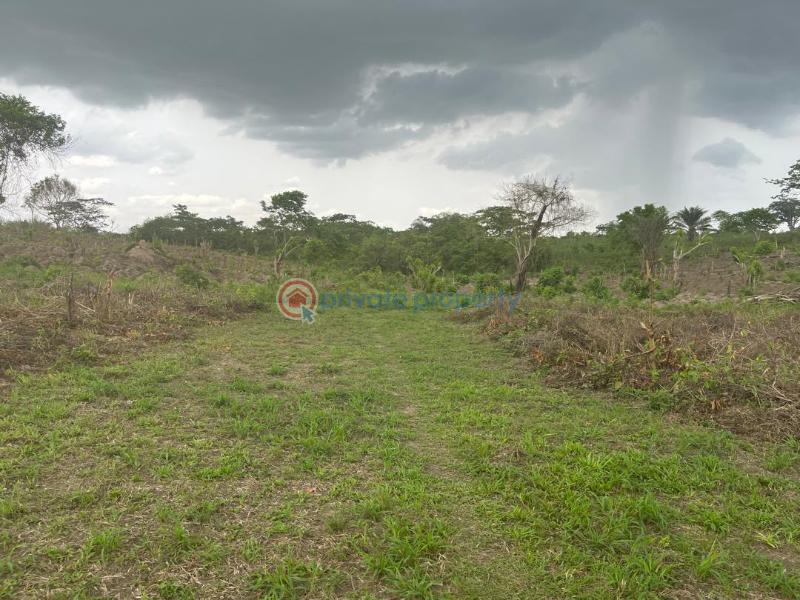 Residential Land For Sale Trinity Garden Ofada Ogun area  - 1