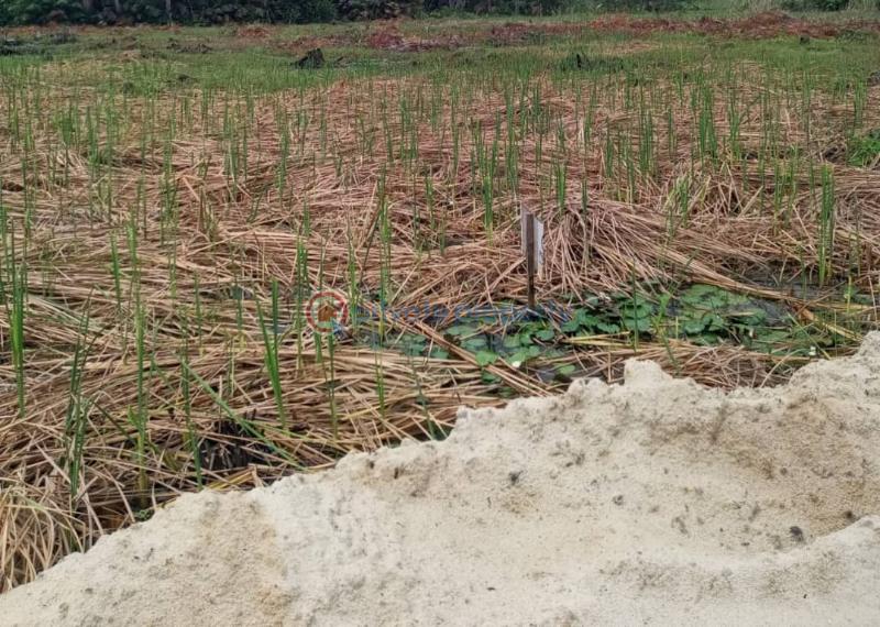 Residential Land For Sale Monastery Road Sangotedo Lagos