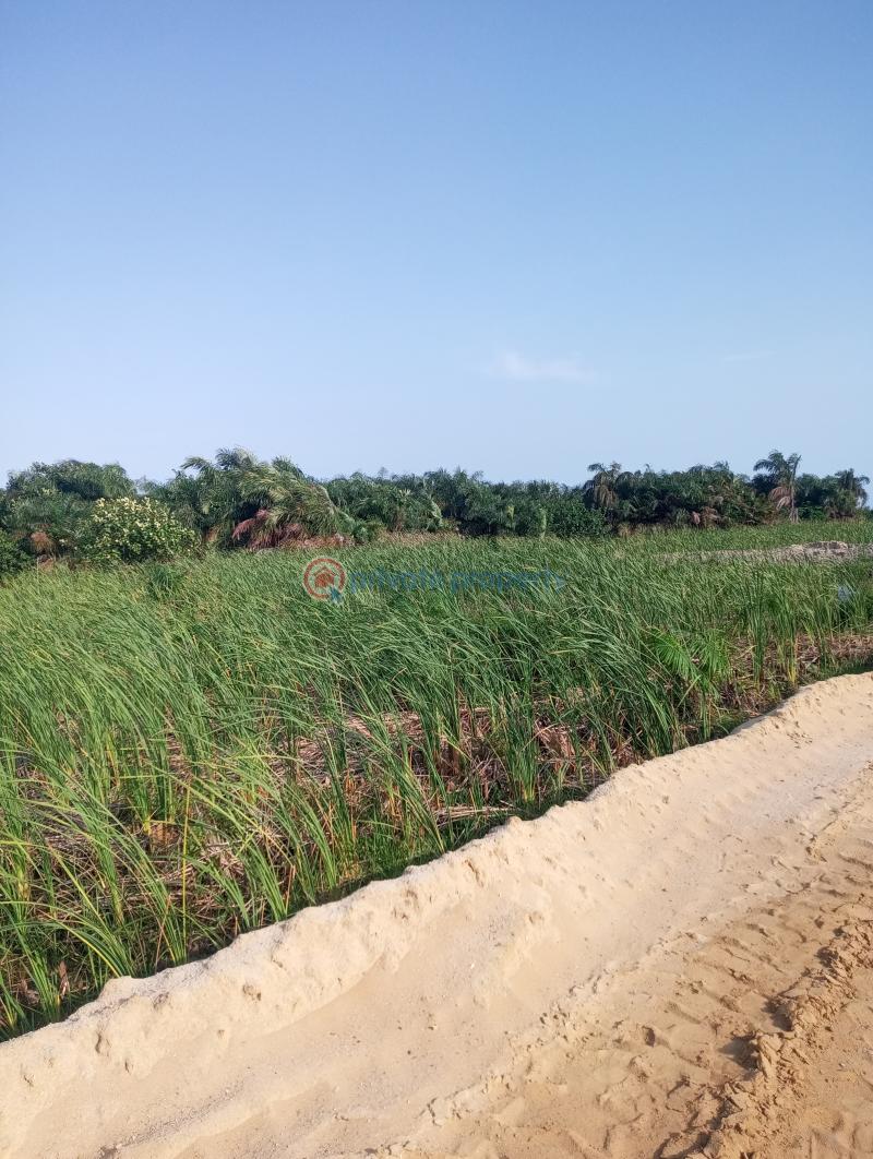 Residential Land For Sale Monastery Road Sangotedo Lagos - 1