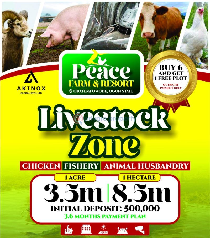 Commercial Land For Sale Livestock Farming With Farm Logistics For Animals And Feed Ajebo Obafemi Owode Ogun