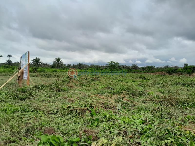 Land For Sale Asiwaju City Igbonla Village Epe Town Epe Lagos - 1