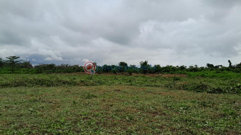 Land For Sale Asiwaju City Igbonla Village Epe Town Epe Lagos - 4