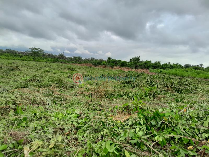 Land For Sale Asiwaju City Igbonla Village Epe Town Epe Lagos - 2
