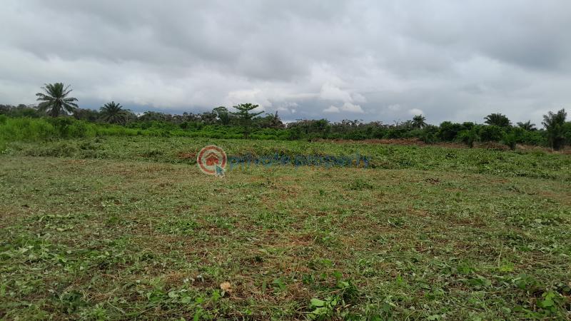 Land For Sale Asiwaju City Igbonla Village Epe Town Epe Lagos - 9