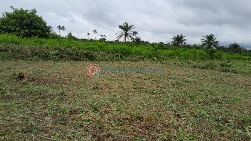 Land For Sale Asiwaju City Igbonla Village Epe Town Epe Lagos - 3