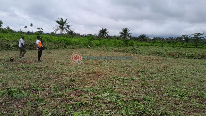 Land For Sale Asiwaju City Igbonla Village Epe Town Epe Lagos - 6