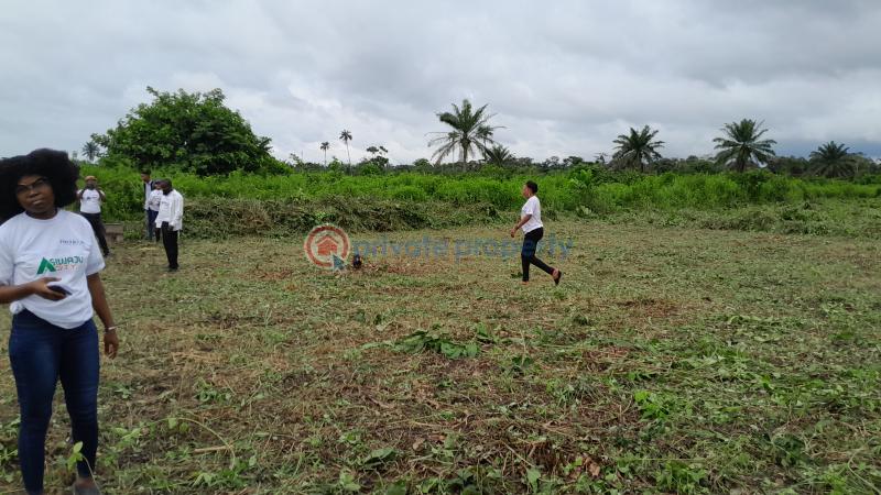 Land For Sale Asiwaju City Igbonla Village Epe Town Epe Lagos - 8