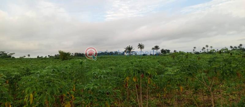 Commercial Land For Sale Green Wealth City Farm With Isiwo Town Immediately After Epe Tollgate Ijebu Ode Ogun