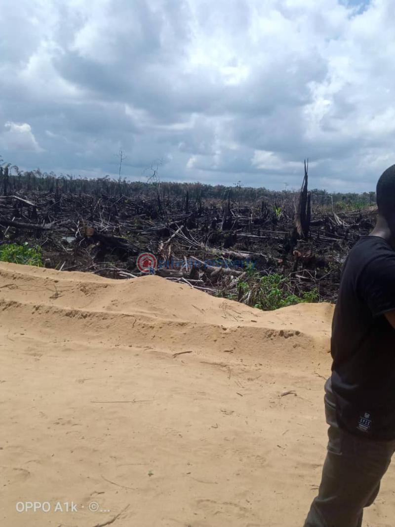 Mixed use Land For Sale By Nipco Filling Station Off Lekki Expressway Ikegun Ibeju-Lekki Lagos - 5