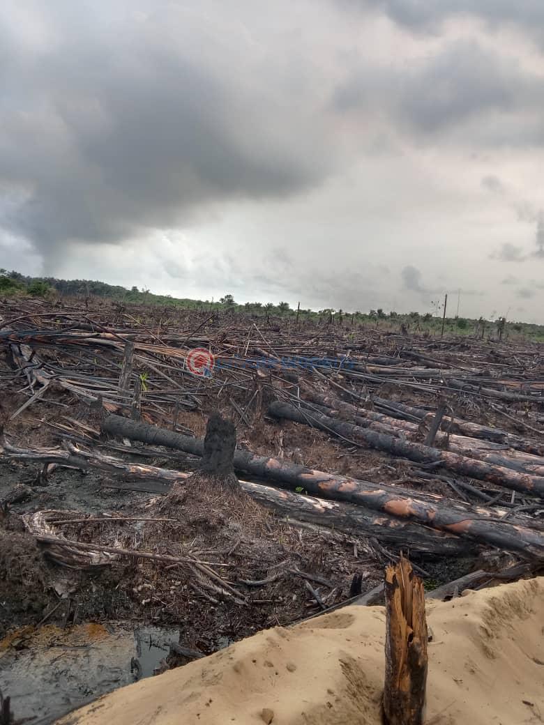 Mixed use Land For Sale By Nipco Filling Station Off Lekki Expressway Ikegun Ibeju-Lekki Lagos - 1