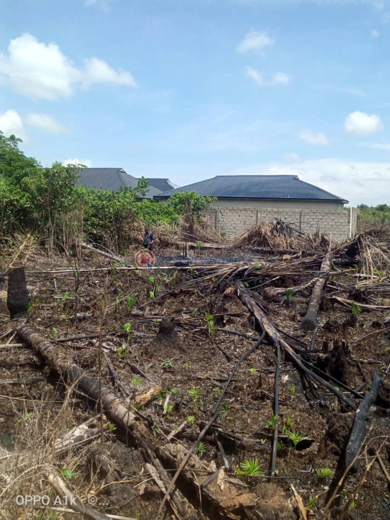 Mixed use Land For Sale By Nipco Filling Station Off Lekki Expressway Ikegun Ibeju-Lekki Lagos - 2