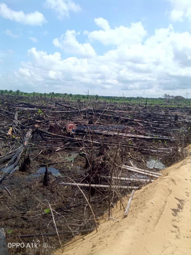 Mixed use Land For Sale By Nipco Filling Station Off Lekki Expressway Ikegun Ibeju-Lekki Lagos - 3