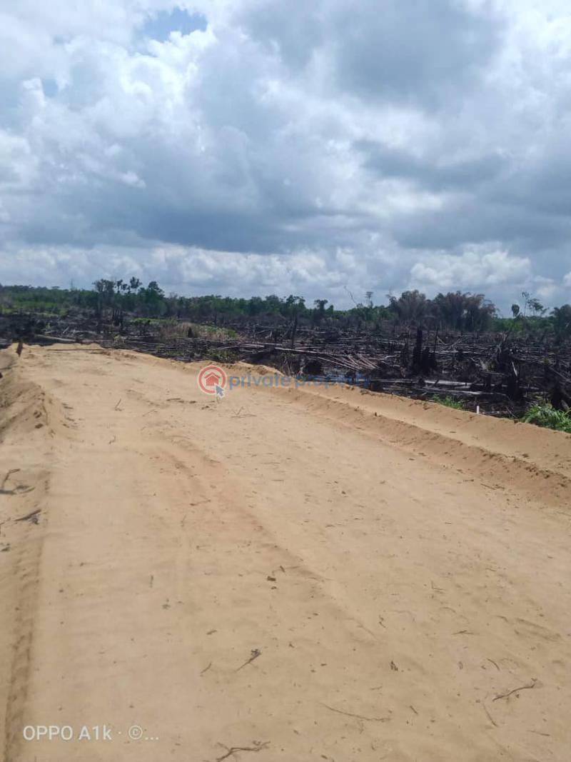 Mixed use Land For Sale By Nipco Filling Station Off Lekki Expressway Ikegun Ibeju-Lekki Lagos - 4