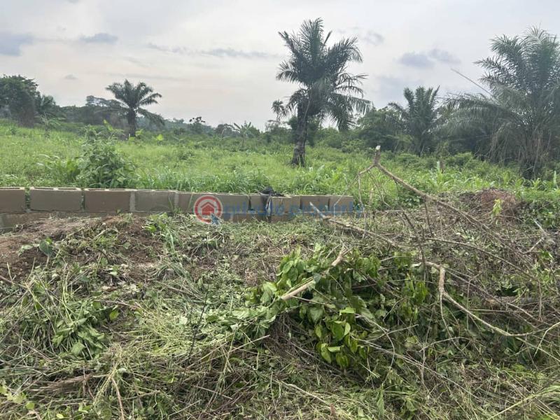 Residential Land For Sale Prime City Estate Ajebo Close To Food Security Logistics Hub Epe Lagos - 1