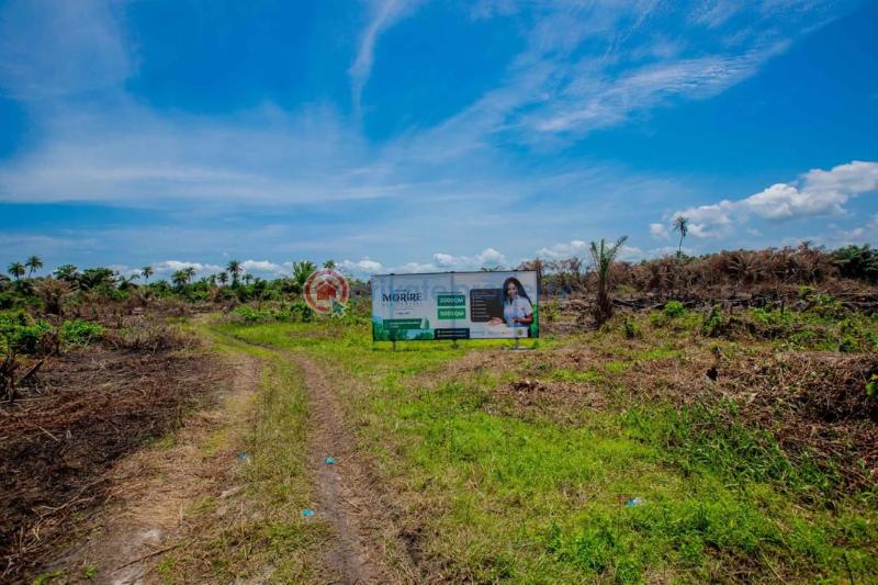 Residential Land For Sale Morire Residential Estate, Magbon Alade Ibeju-Lekki Lagos - 1