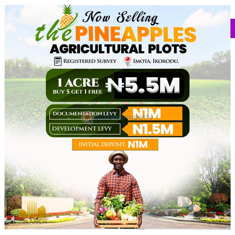 Mixed use Land For Sale The Pineapples Estate Agbowa Ikorodu Ogun Ogun area  - 6