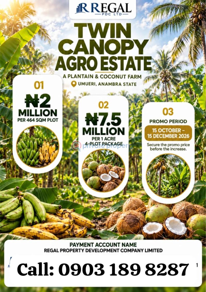 Commercial Land For Sale Umueri Anambra East 