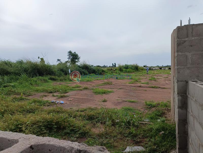 For sale Land Alliance Estate By Faculty Of Agriculture Rivers State