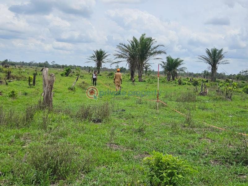 Commercial Property For Sale Farm Park Estate, Idiru Via Imaka 10 Minutes From Epe Ijebu Ode Tollgate Ijebu Ode Ogun - 2