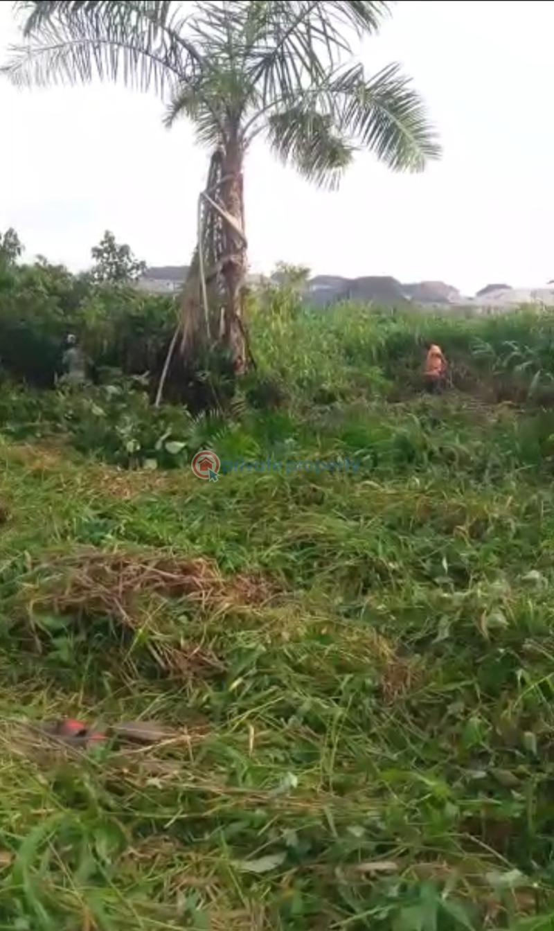 Mixed use Land For Sale Magbon Village, Igbe Road Gberigbe Ikorodu Lagos - 2