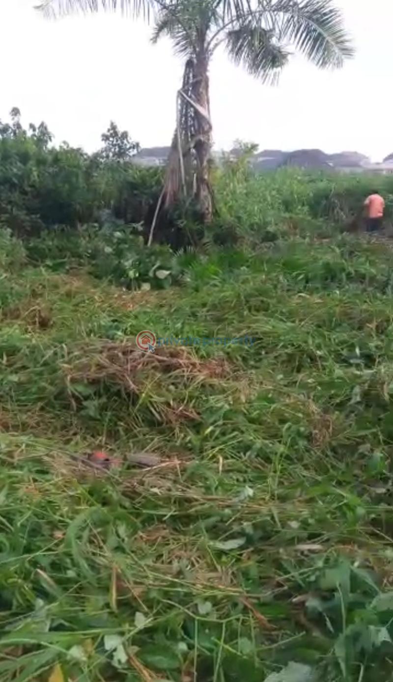 Mixed use Land For Sale Magbon Village, Igbe Road Gberigbe Ikorodu Lagos - 3