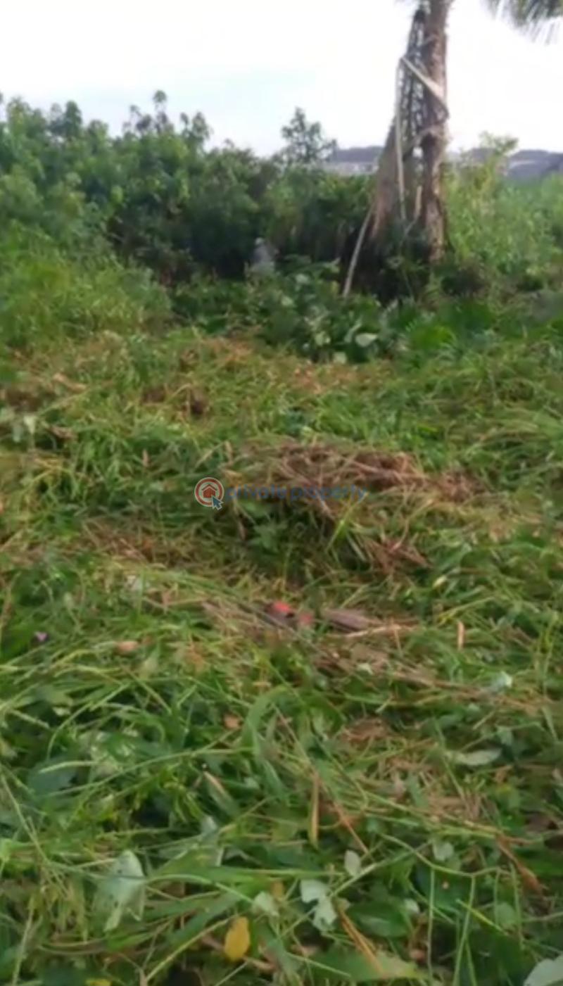 Mixed use Land For Sale Magbon Village, Igbe Road Gberigbe Ikorodu Lagos - 0