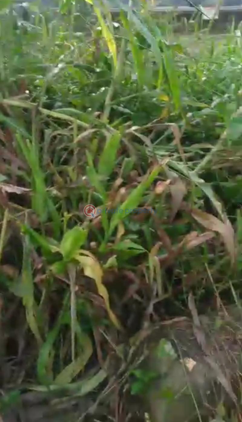 Mixed use Land For Sale Magbon Village, Igbe Road Gberigbe Ikorodu Lagos - 1