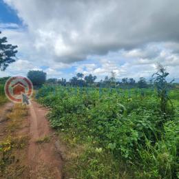 Commercial Land For Sale Off Moniya Ijaye Express Ibadan Oyo - 3