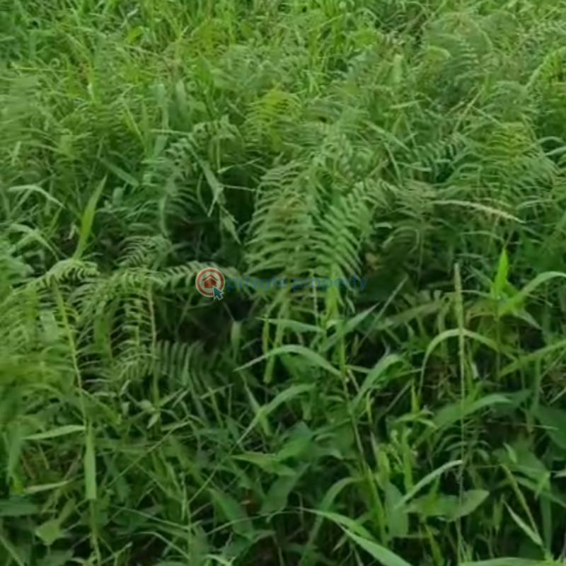 Mixed use Land For Sale Omole Phase 1 Ojodu Lagos