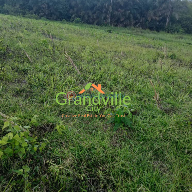 Land For Sale Grandville City Homes Mowe Sangamu Mowe Ogun area  - 3