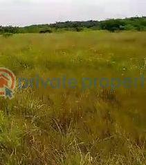 Residential Land For Sale Dangote Refinery Dangote Jetty La Campagne Tropicana Amen Estate Eleko Beach Resort La Campaigne Tropicana Ibeju-Lekki Lagos - 3