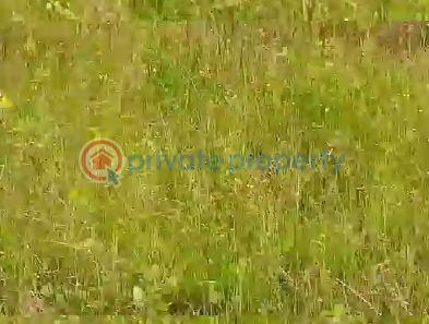 Residential Land For Sale Dangote Refinery Dangote Jetty La Campagne Tropicana Amen Estate Eleko Beach Resort La Campaigne Tropicana Ibeju-Lekki Lagos - 6