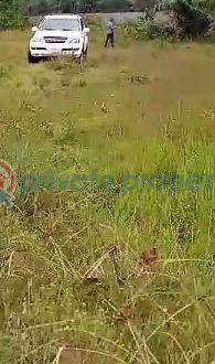 Residential Land For Sale Dangote Refinery Dangote Jetty La Campagne Tropicana Amen Estate Eleko Beach Resort La Campaigne Tropicana Ibeju-Lekki Lagos - 5