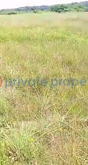 Residential Land For Sale Dangote Refinery Dangote Jetty La Campagne Tropicana Amen Estate Eleko Beach Resort La Campaigne Tropicana Ibeju-Lekki Lagos - 4